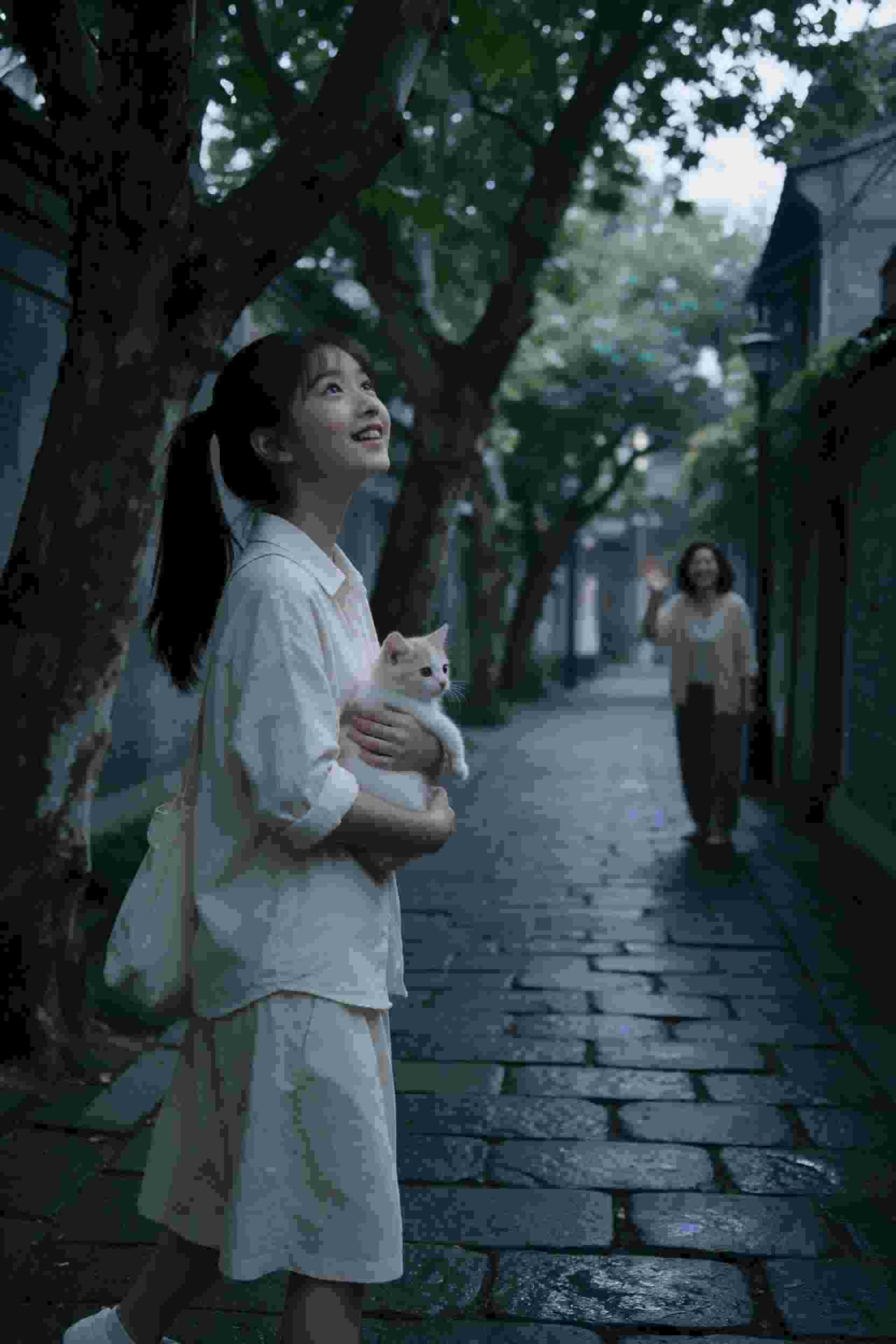 血十字漫蛙免费观看